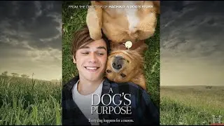 A Dog's Purpose Life of Bailey and Ethan #inspiration #funny