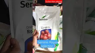 🧅Seminis Royal Selection, Onion Seed, bayer onion seed #viral #farmer #onion #shortvideo