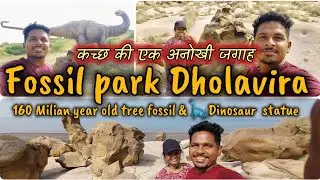 🦕160 करोड़ साल पुराने🦖🐲 पेड़ का फॉसिल || Wood Fossil Park Dholavira  ||  Kutch-Bhuj Vlog