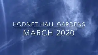 Hodnet Hall Gardens - March 2020