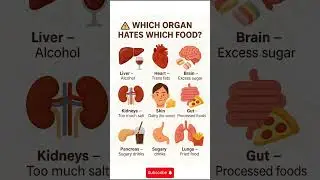 ⚠️ Foods That Damage Your Organs | Stop Eating These to Stay Healthy
