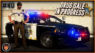FiveM LEO RP | Day 40 - BCSO Busts Drug Dealer (Major League Roleplay)
