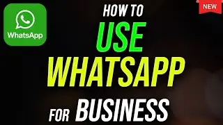 How to Use Whatsapp for Business App