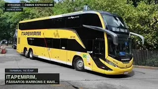 MOVIMENTAÇÃO NO TERMINAL TIETÊ | ITAPEMIRIM, PÁSSAROS MARRONS.