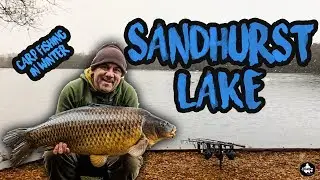 Carp Fishing In Winter 2019 - Sandhurst Lake - Vlog #3 😀