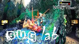 Inside the BUG LAB Exhibition  |  Ontario Science Centre Toronto  |  4K Virtual Walk Tour   |  2022