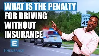 What Is The Penalty For Driving Without Insurance