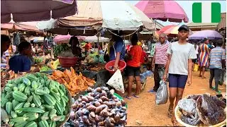 Rural African Market Day in Aningeje Nigeria - Cost of Living in Nigeria
