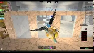 NekoGirl64's ROBLOX video