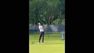 Tiger Woods Flop Shot