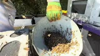 Swarm #11 - Using the Two Funnel Method