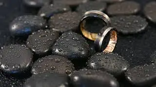King Will Ring Loop Collection Couple Wedding Band Showcase