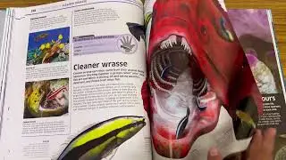 DK Knowledge Encylopedia Ocean