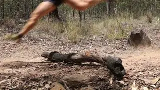 Highlights- Brisbane Trail Ultra 2019