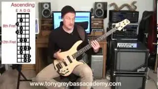 Tony Grey Bass Academy