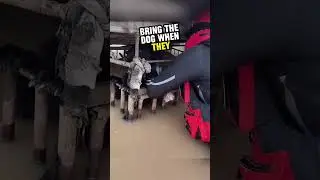 Rescuers save dog's life after flood ❤️