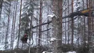 Energiapuukorjuri