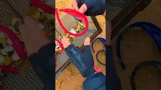 Beach Cleanup We Found Hidden Treasure