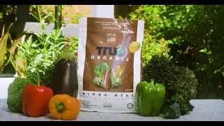 How to Apply True Organic Blood Meal