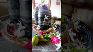 jai bholenath #viral #love #sive #stetus #sakun #viralvideos #viral #viral #viral #stetus #love #जय