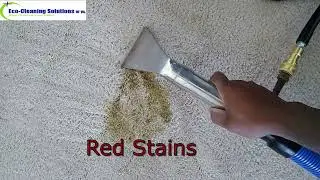Northern VA Carpet Cleaning & Stain Removal | Residential & Commercial Services | Call Us Today!