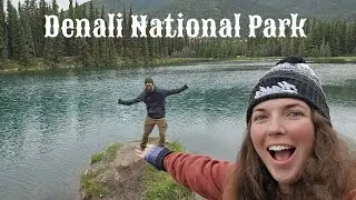 SAVAGE Alpine Trail + Horseshoe Lake Trail - Hiking Denali National Park Day 1