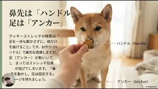 やり方簡単！体のチェックも出来ちゃうクッキーストレッチ ？！