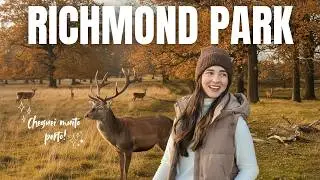 O que fazer em RICHMOND PARK