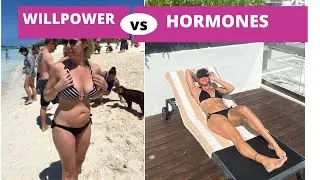 Willpower Vs. Hormones for Fat Loss in Perimenopause and Menopause