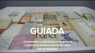 «Extendiendo la brevedad de un vistazo: Mauricio Amster en Chile» | VISITA GUIADA Capítulo 19