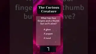 The Curious Creature