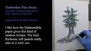 Mark Ivan Cole - Timberline Pine Study Preview