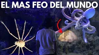 El ACUARIO mas GRANDE de todo EUROPA | Valencia