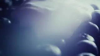 Gordelicious