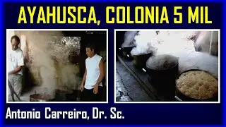ANTONIO CARREIRO, Ayahuasca na Colônia 5 Mil (Acre)