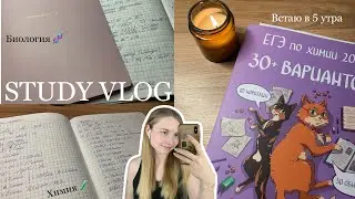 *study vlog* 🧸 встаю в 5 утра | подготовка к экзаменам | мой выходной | мой день 🫠