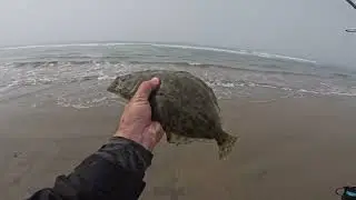 Halibut are at Huntington Dog Beach 