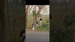 #shorts #video #new  Instagram reels back flips side flips webster