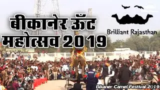 International Bikaner Camel Festival 2019 || Brilliant Rajasthan ||