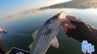 Team @ONTHAREEL831  hunting for Striped Bass