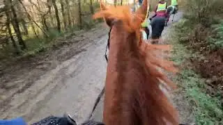 My camera crew struggled to keep everyone in the frame #horse #horseriding #lakedistrict #gopro9