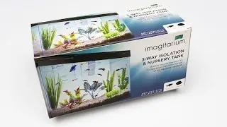 Imagitarium 3-Way Isolation & Nursery Tank Review