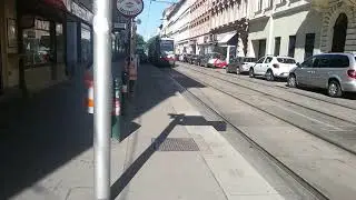 Thai Airways Beklebung: Stra&szlig;enbahn Linie 1 Radetzkyplatz in Wien