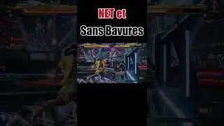 Net et Sans Bavures