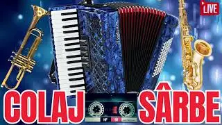 Sarbe Acordeon 2026🪗Muzica de Petrecere🪗Colaj Hore de Joc🪗Instrumental Live