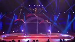 Circus gymnasts-High Bar Act