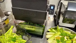 Goodnature Hummingbird Pro XL против Celery