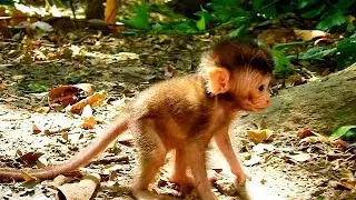 Mom leave behind her New born baby even It's not yet walk