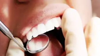 Root Canals 101 (Beauty & Grooming Guru)