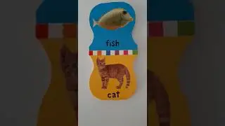 Adult English learning. say Cat. say fish. #cat #fish #sullu
